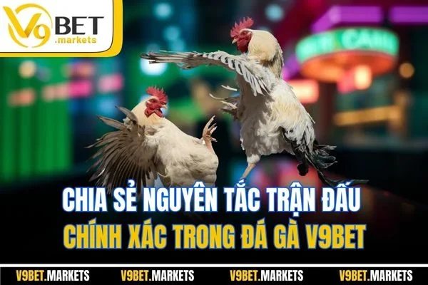 Chia sẻ nguyên tắc trận đấu chính xác trong đá gà V9BET Chia sẻ nguyên tắc trận đấu chính xác trong đá gà V9BET