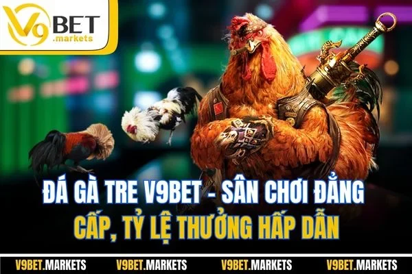 Đá Gà Tre V9BET - Sân Chơi Đẳng Cấp, Lệ Thưởng Hấp Dẫn