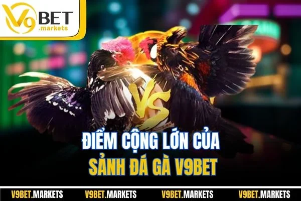 Điểm cộng lớn của sảnh đá gà V9BET