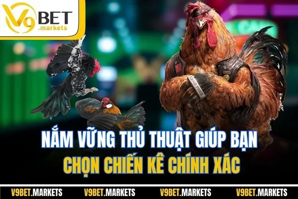 Nắm vững thủ thuật giúp bạn chọn chiến kê chính xác