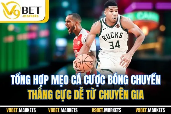 Tổng hợp mẹo cá cược bóng chuyền thắng cực dễ từ chuyên gia